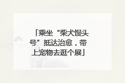 乘坐“柴犬馒头号”抵达治愈，带上宠物去逛个展