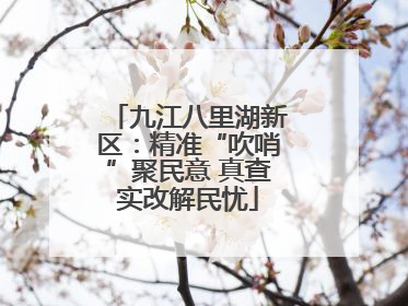九江八里湖新区：精准“吹哨”聚民意 真查实改解民忧