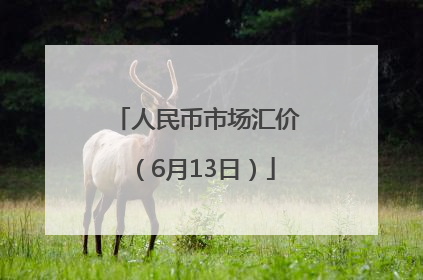 人民币市场汇价（6月13日）