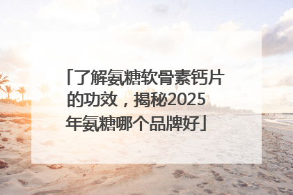 了解氨糖软骨素钙片的功效，揭秘2025年氨糖哪个品牌好