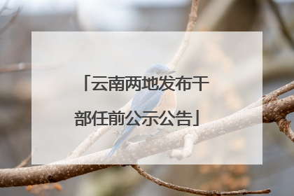 云南两地发布干部任前公示公告