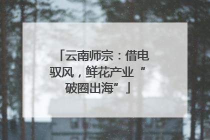 云南师宗：借电驭风，鲜花产业“破圈出海”