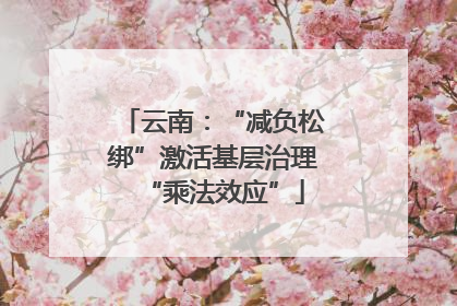 云南：“减负松绑”激活基层治理“乘法效应”
