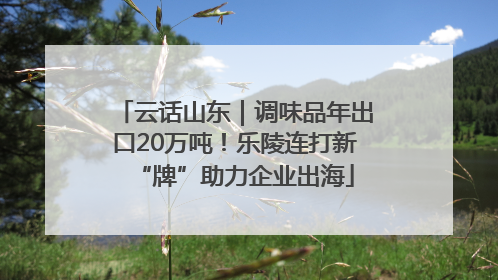 云话山东｜调味品年出口20万吨！乐陵连打新“牌”助力企业出海