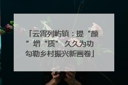 云霄列屿镇：提“颜”增“质” 久久为功勾勒乡村振兴新画卷