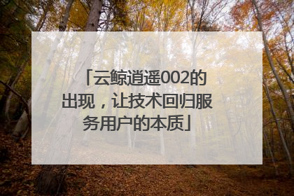 云鲸逍遥002的出现，让技术回归服务用户的本质