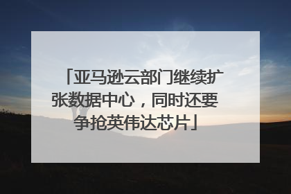 亚马逊云部门继续扩张数据中心，同时还要争抢英伟达芯片