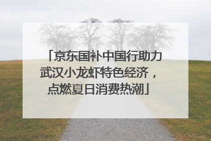 京东国补中国行助力武汉小龙虾特色经济，点燃夏日消费热潮