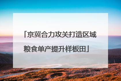 京冀合力攻关打造区域粮食单产提升样板田