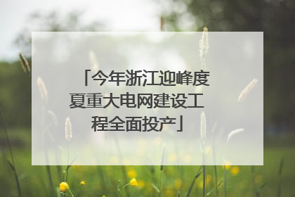 今年浙江迎峰度夏重大电网建设工程全面投产