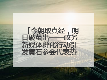 今朝取真经，明日破茧出——政务新媒体孵化行动引发黄石参会代表热烈反响