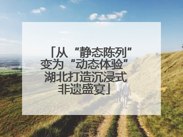 从“静态陈列”变为“动态体验” 湖北打造沉浸式非遗盛宴