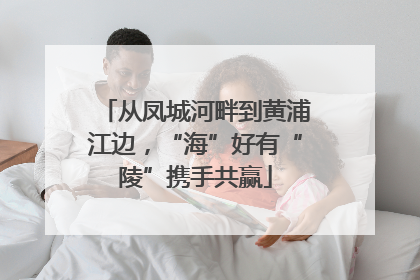 从凤城河畔到黄浦江边，“海”好有“陵”携手共赢