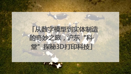 从数字模型到实体制造的奇妙之旅，沪东“科·堂”探秘3D打印科技