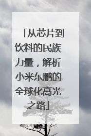 从芯片到饮料的民族力量，解析小米东鹏的全球化高光之路