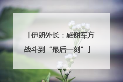 伊朗外长：感谢军方战斗到“最后一刻”
