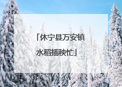 休宁县万安镇水稻插秧忙