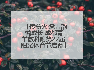 传薪火·承古韵·悦成长 成都青羊教科附第22届阳光体育节启幕