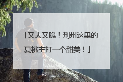 又大又脆！荆州这里的夏桃主打一个甜美！