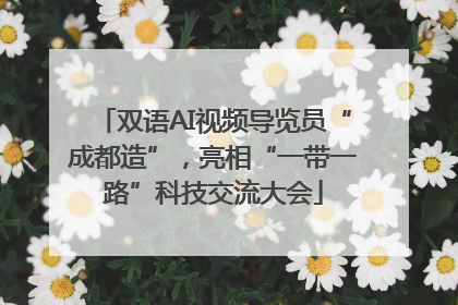 双语AI视频导览员“成都造”，亮相“一带一路”科技交流大会