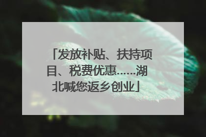 发放补贴、扶持项目、税费优惠……湖北喊您返乡创业