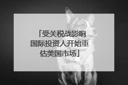 受关税战影响 国际投资人开始重估美国市场