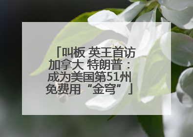 叫板 英王首访加拿大 特朗普：成为美国第51州免费用“金穹”