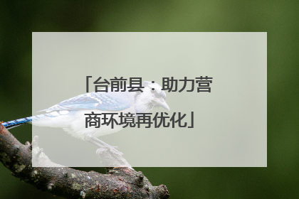 台前县：助力营商环境再优化