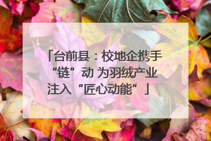台前县：校地企携手“链”动 为羽绒产业注入“匠心动能”