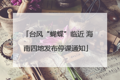 台风“蝴蝶”临近 海南四地发布停课通知