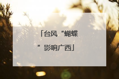 台风“蝴蝶”影响广西