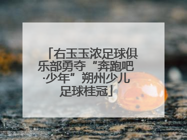 右玉玉浓足球俱乐部勇夺“奔跑吧·少年”朔州少儿足球桂冠