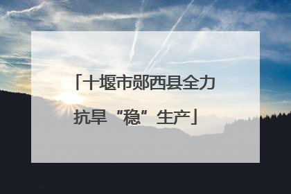 十堰市郧西县全力抗旱“稳”生产