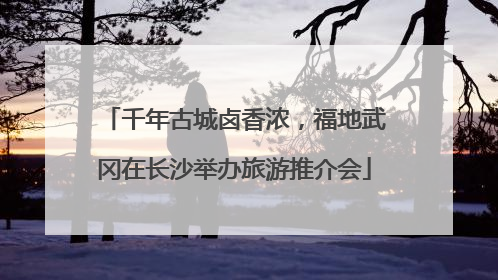 千年古城卤香浓，福地武冈在长沙举办旅游推介会