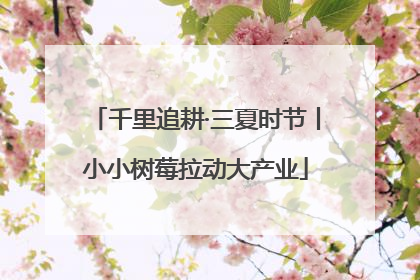 千里追耕·三夏时节丨小小树莓拉动大产业