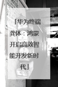 华为终端龚体：鸿蒙开启高效智能开发新时代