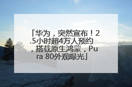 华为，突然宣布！2.5小时超4万人预约，搭载原生鸿蒙，Pura 80外观曝光