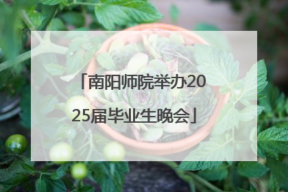 南阳师院举办2025届毕业生晚会