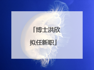 博士洪欣拟任新职