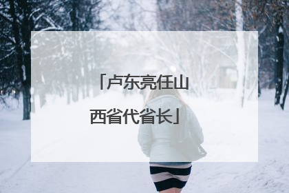 卢东亮任山西省代省长