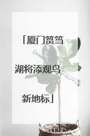 厦门筼筜湖将添观鸟新地标