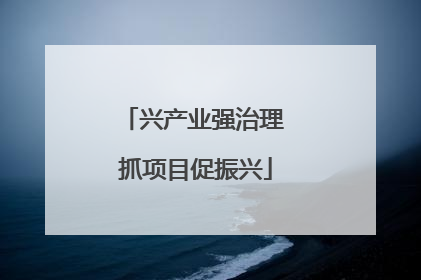 兴产业强治理 抓项目促振兴