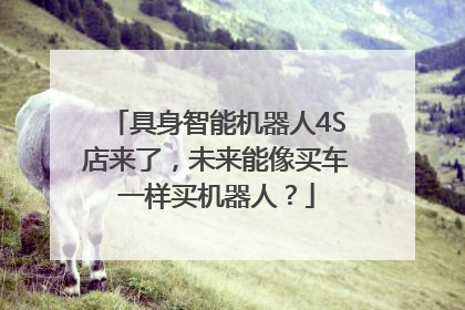具身智能机器人4S店来了，未来能像买车一样买机器人？