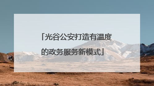 光谷公安打造有温度的政务服务新模式