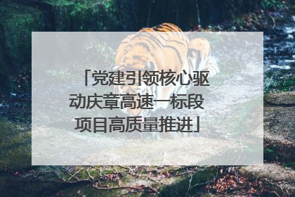 党建引领核心驱动庆章高速一标段项目高质量推进