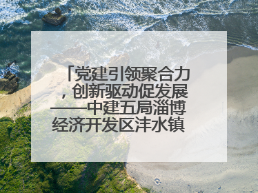 党建引领聚合力，创新驱动促发展——中建五局淄博经济开发区沣水镇高西村安置项目建设纪实
