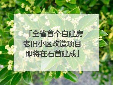 全省首个自建房老旧小区改造项目即将在石首建成