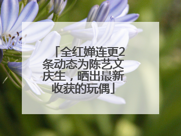 全红婵连更2条动态为陈艺文庆生，晒出最新收获的玩偶