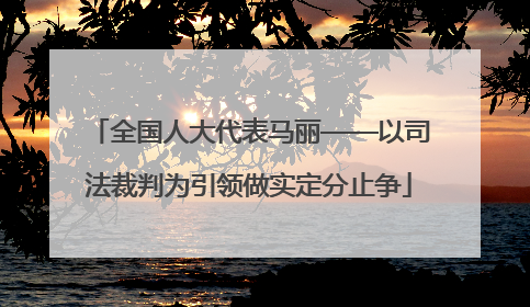 全国人大代表马丽——以司法裁判为引领做实定分止争