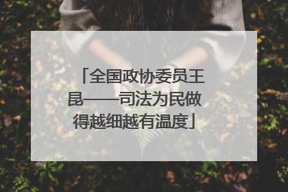 全国政协委员王昆——司法为民做得越细越有温度